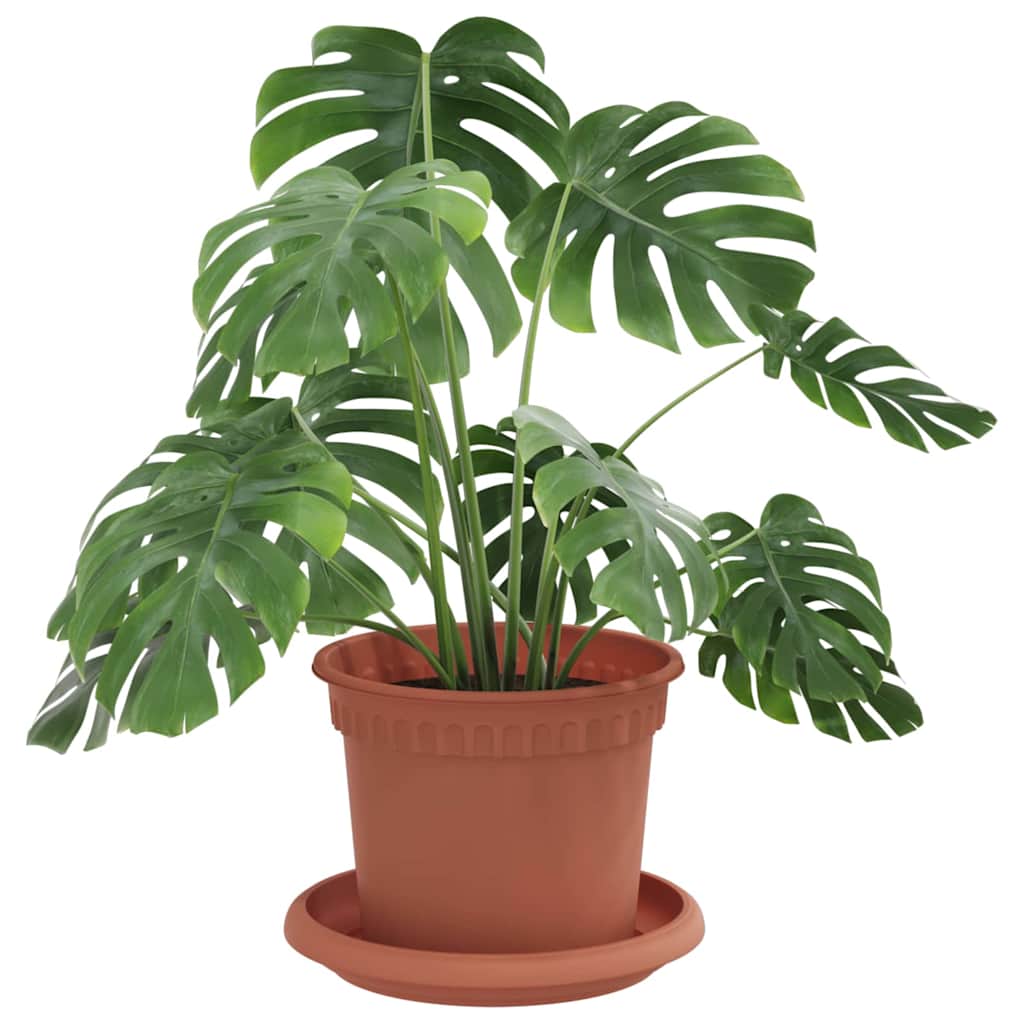Saksije za biljke 24 pcs Crvena cigla Ø 12,5 x 10 cm Plastika