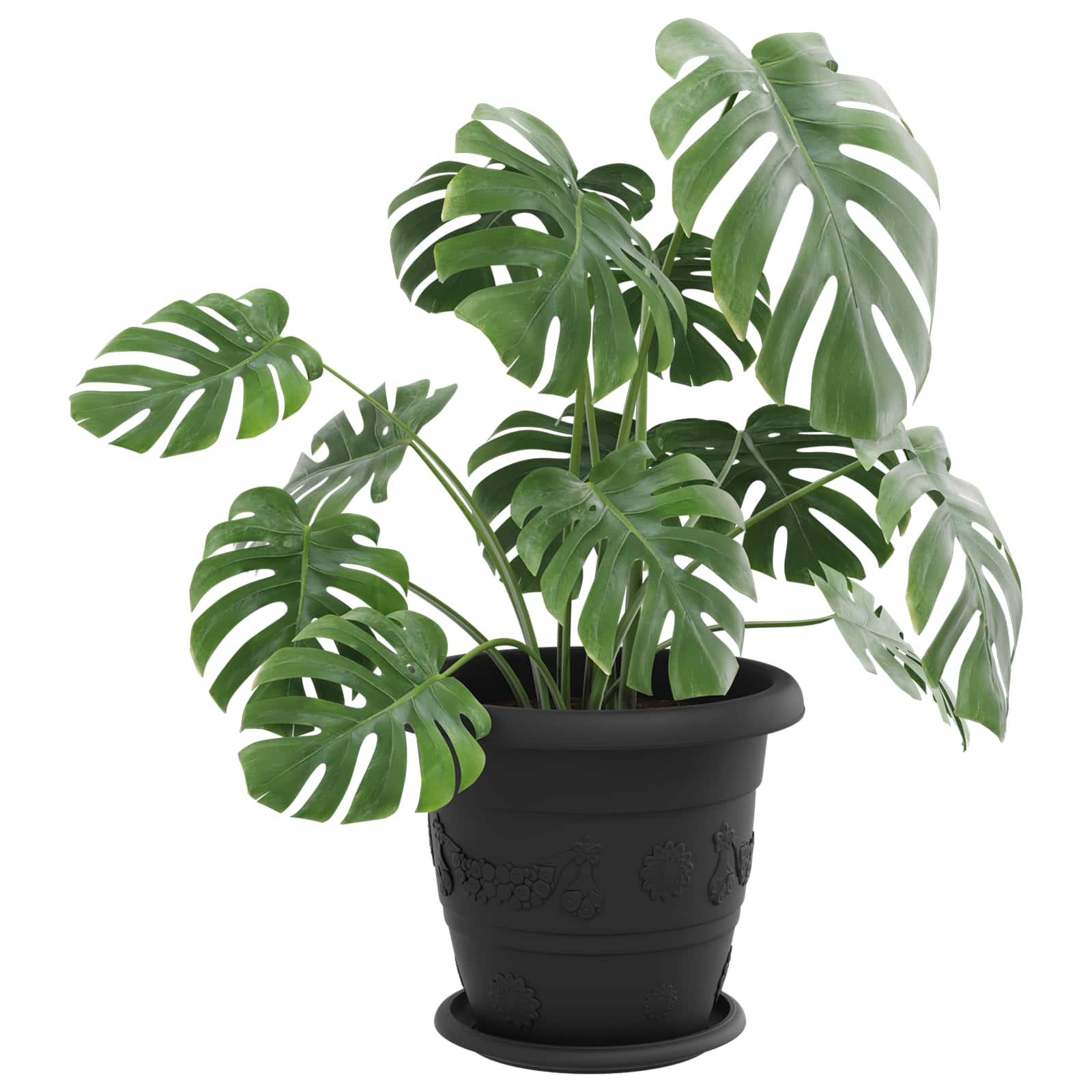 Saksije za biljke 6 pcs Crna Ø 26 x 21.5 cm Plastika