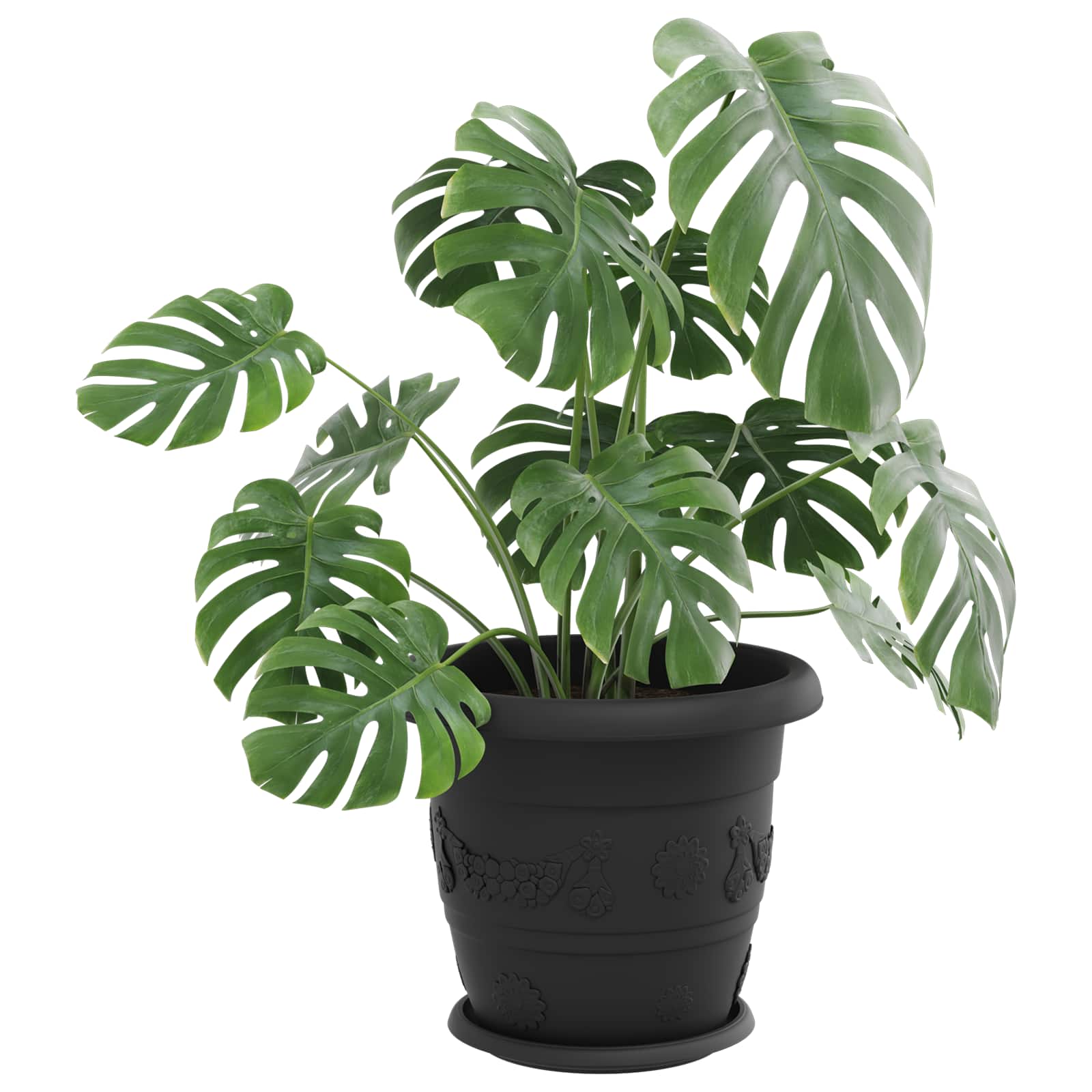 Saksije za biljke 6 pcs Crna Ø 34 x 28 cm Plastika