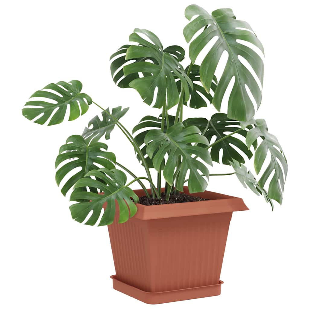 Saksije za biljke 6 pcs Crvena cigla 20 x 20 x 16 cm Plastika