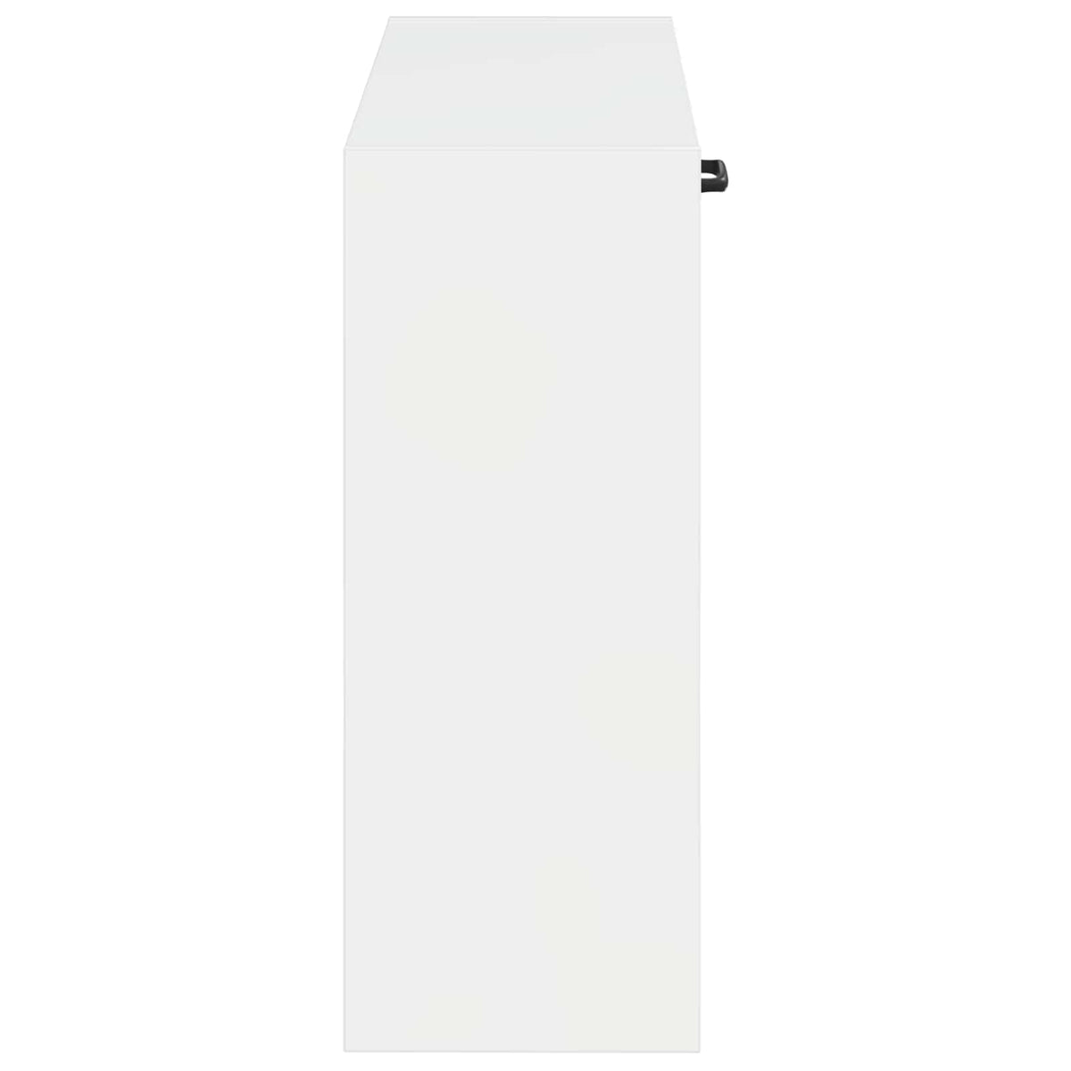 Ormar za cipele na zidu HAARLEM 71 x 17 x 43 cm