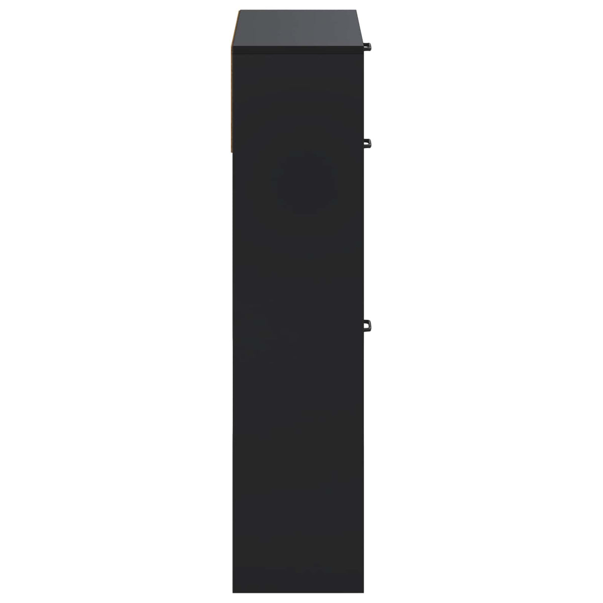 Ormar za cipele UTRECHT 78 x 24 x 100 cm Konstruirano drvo Crna