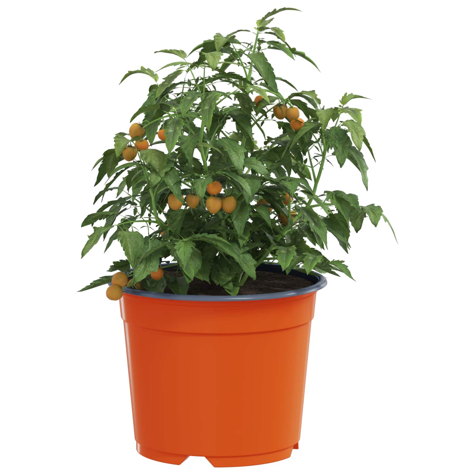 Okrugla saksija za cveće 200 pcs Terakota Ø 10 x 8 cm Plastika