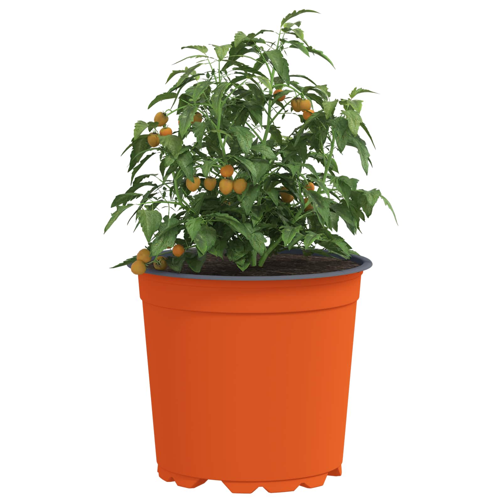 Lonac za cvijeće 100 pcs Terakota Ø 15 x 13 cm Plastika