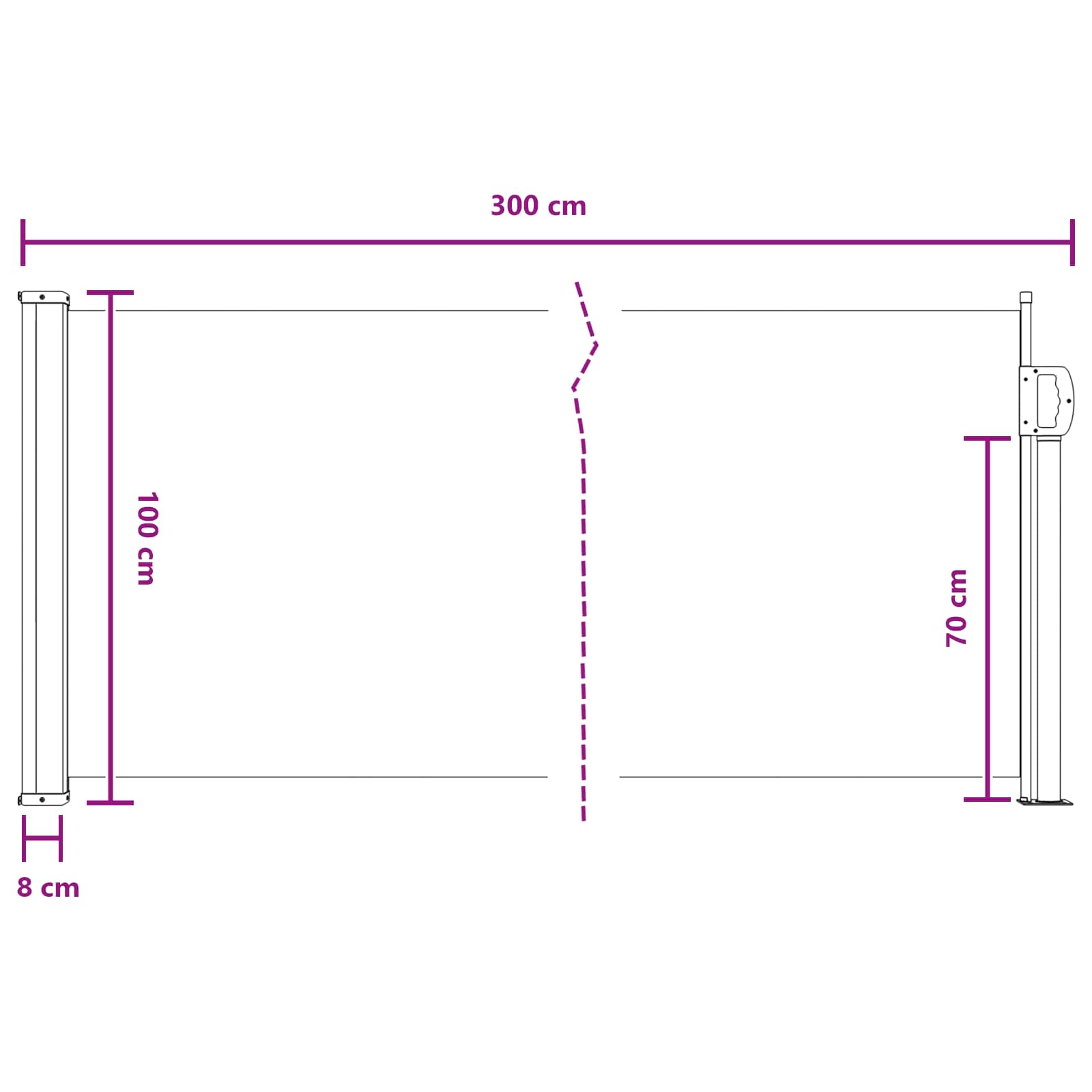 Retraktabilna bočna tende Antracit 300 x 100 cm Poliester