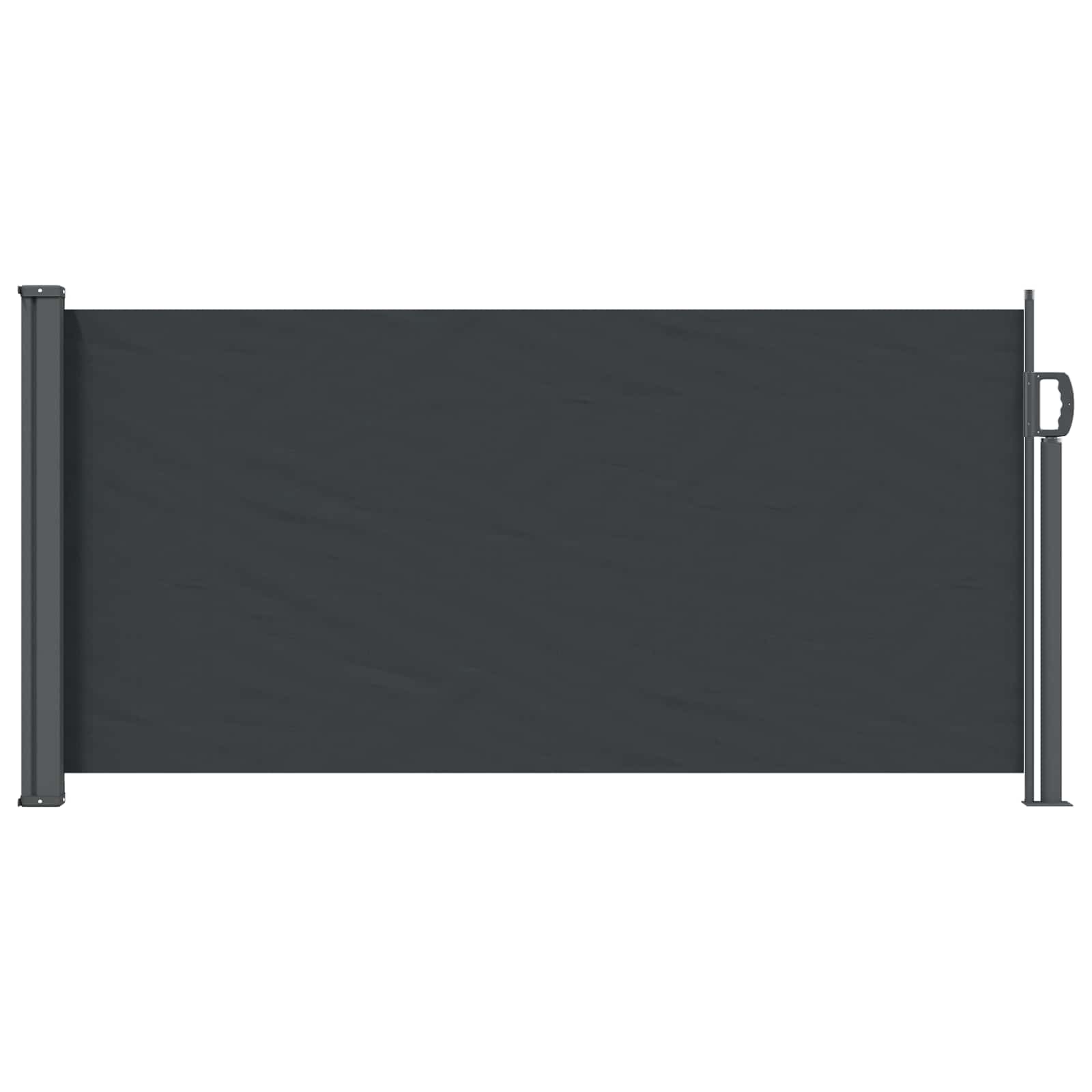 Retraktabilna bočna tende Crna 300 x 100 cm Poliester