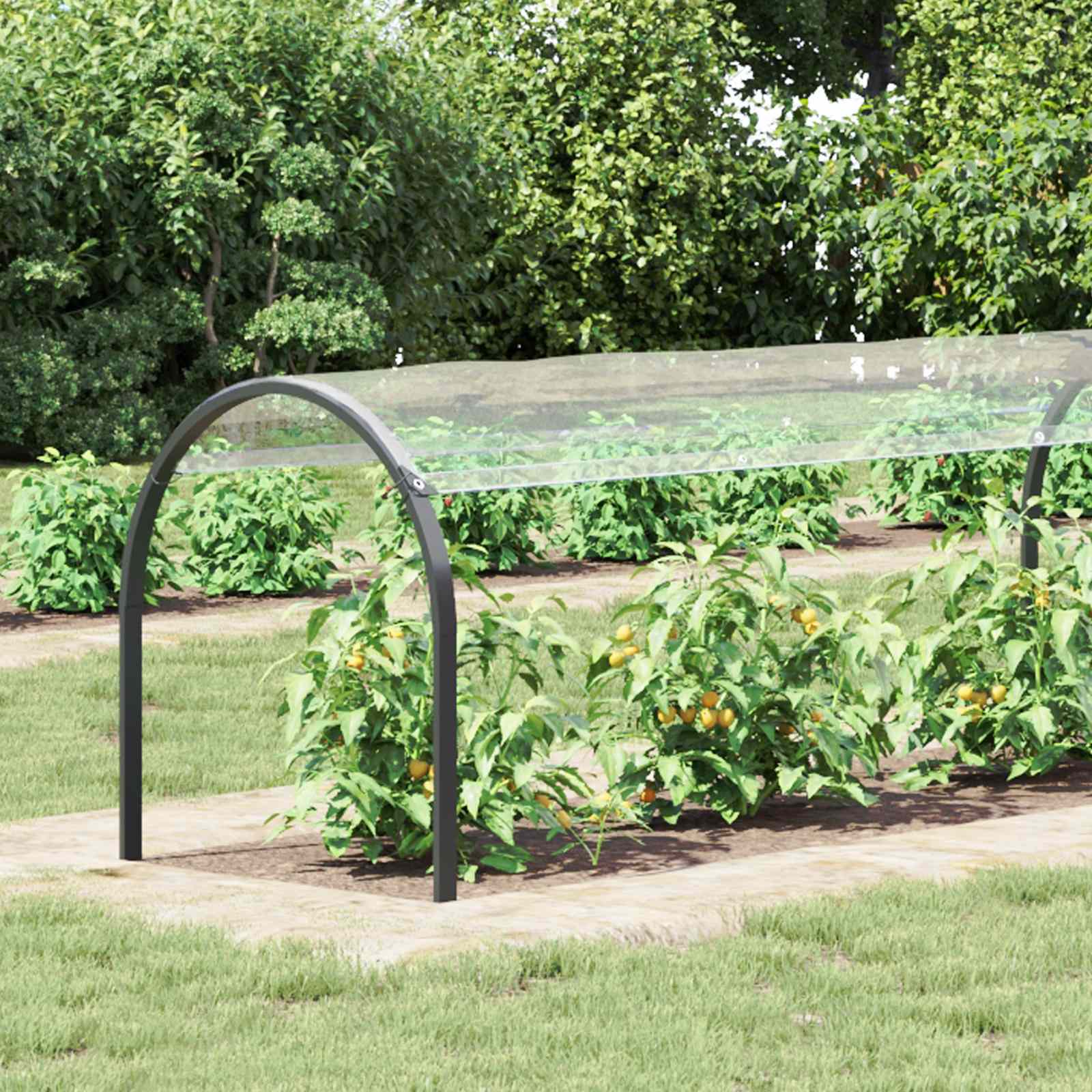 Pokrov za biljke *Transparent*an 6 x 1,5 m PVC