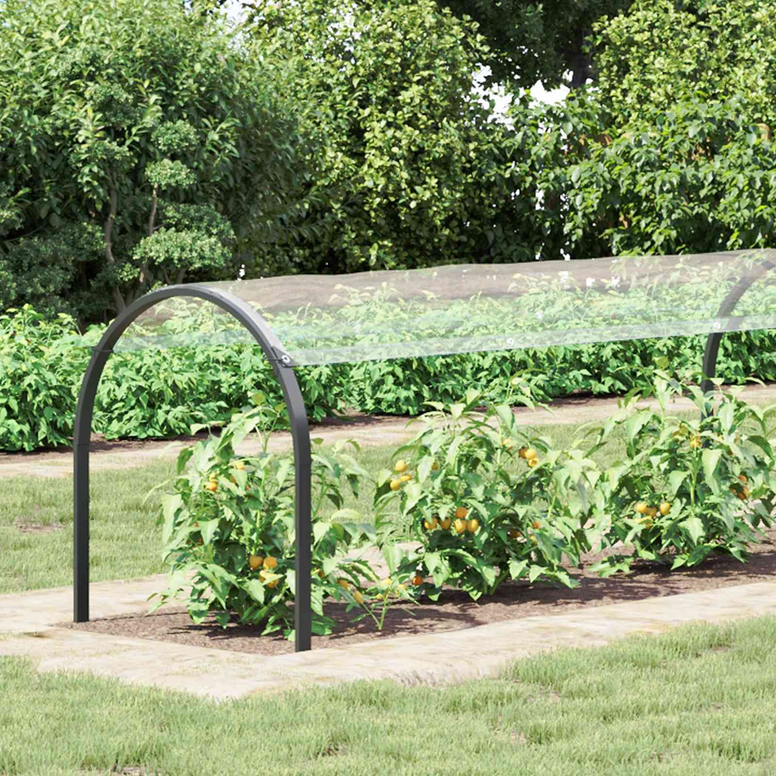 Pokrov za biljke *Transparent*an 20 x 1,5 m PVC