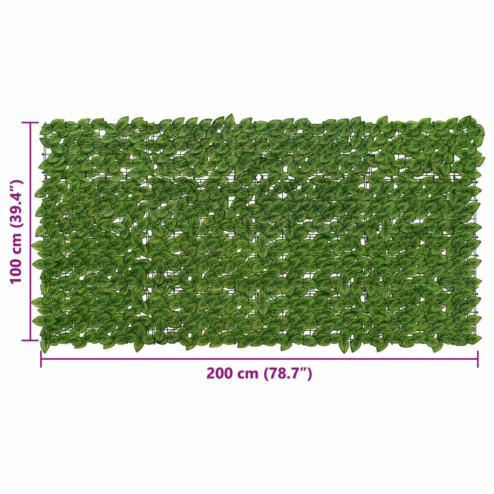 Zaslon za balkon s lišćem Zelena i žuta 200 x 100 cm