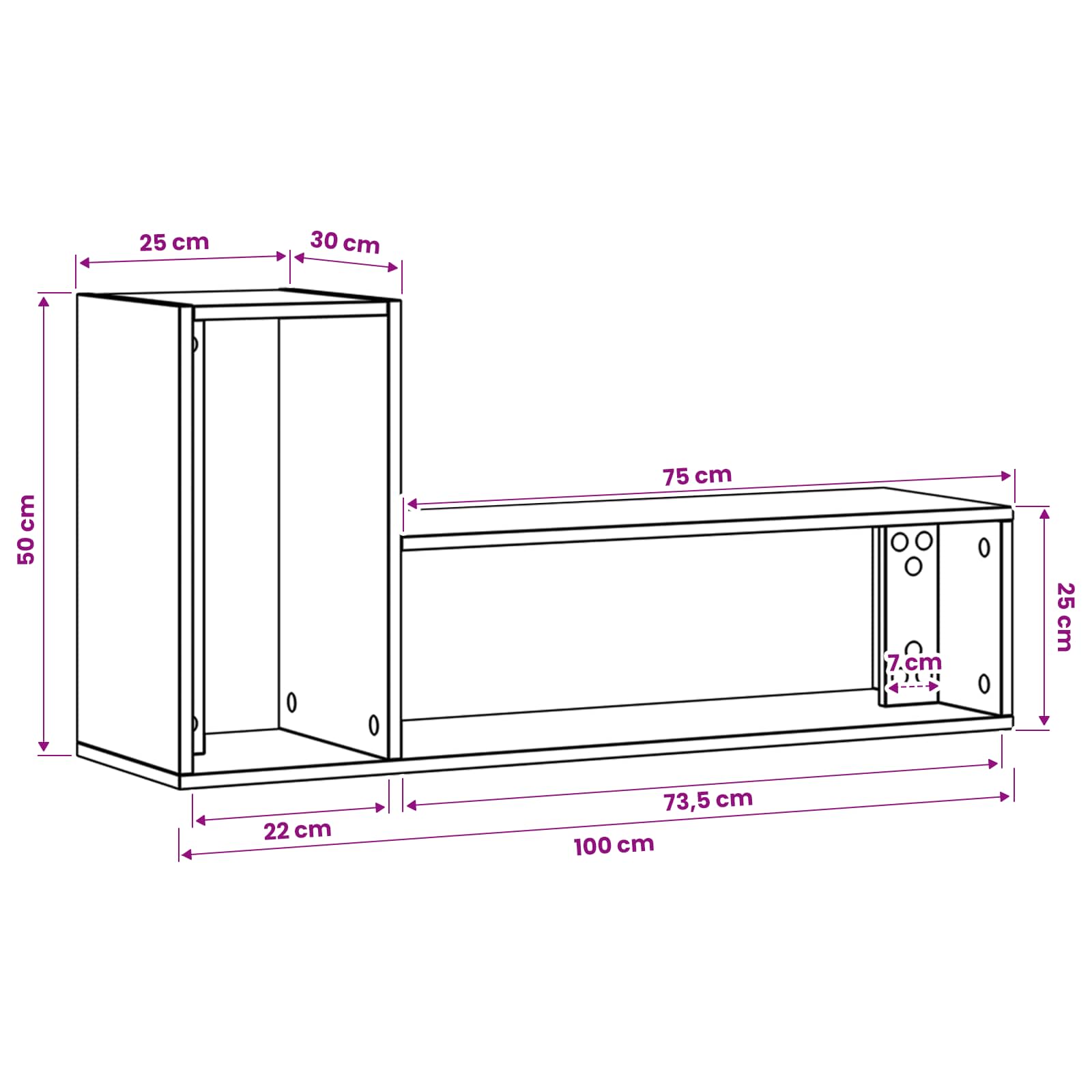 TV ormar 100 x 30 x 50 cm Staro drvo Konstruirano drvo