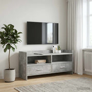 TV ormar 100 x 33 x 47 cm Betonska siva Konstruirano drvo