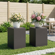 Stalak za biljke 2 pcs Crna 30 x 30 x 40 cm Čelik
