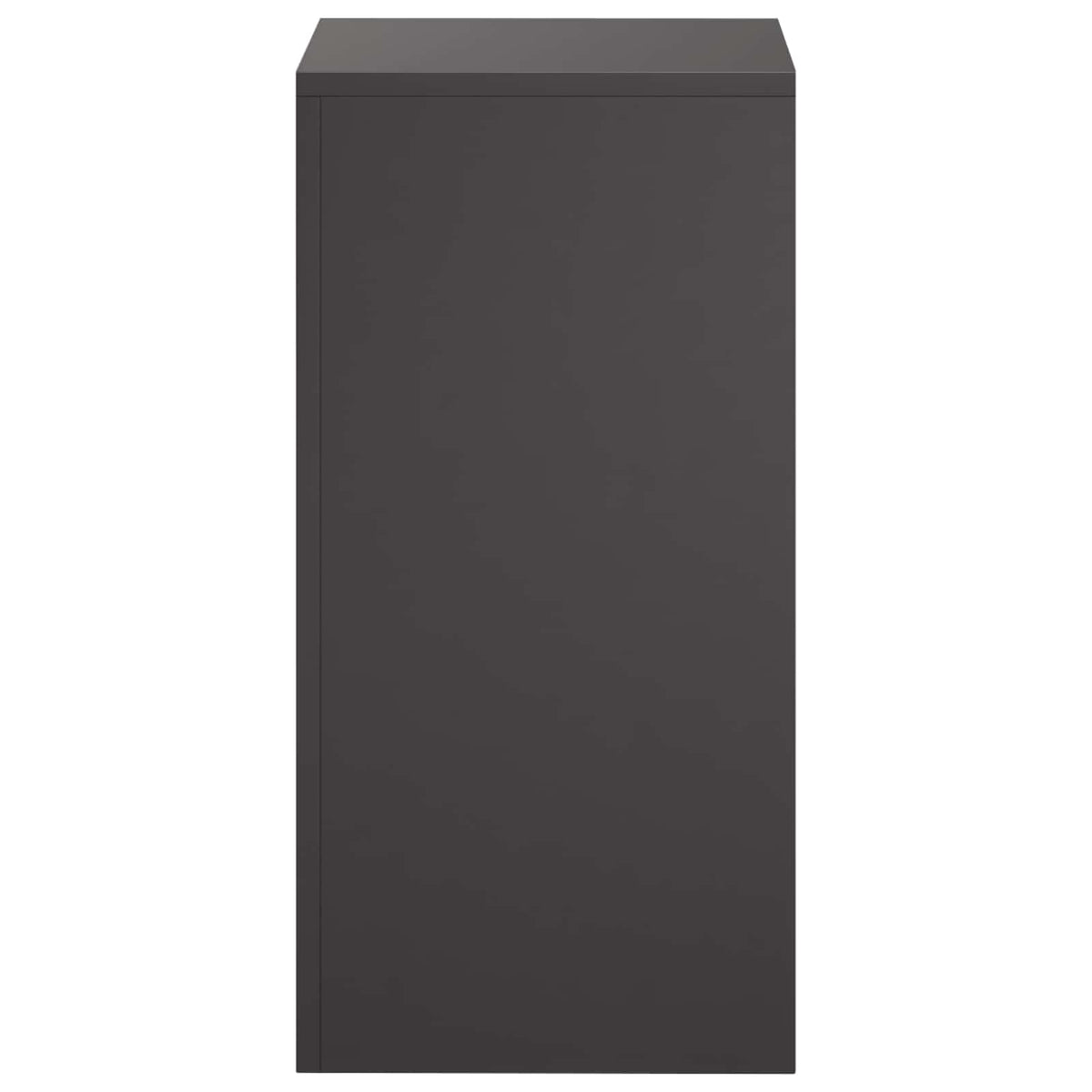 Stalak za biljke 2 pcs Crna 30 x 30 x 60 cm Čelik