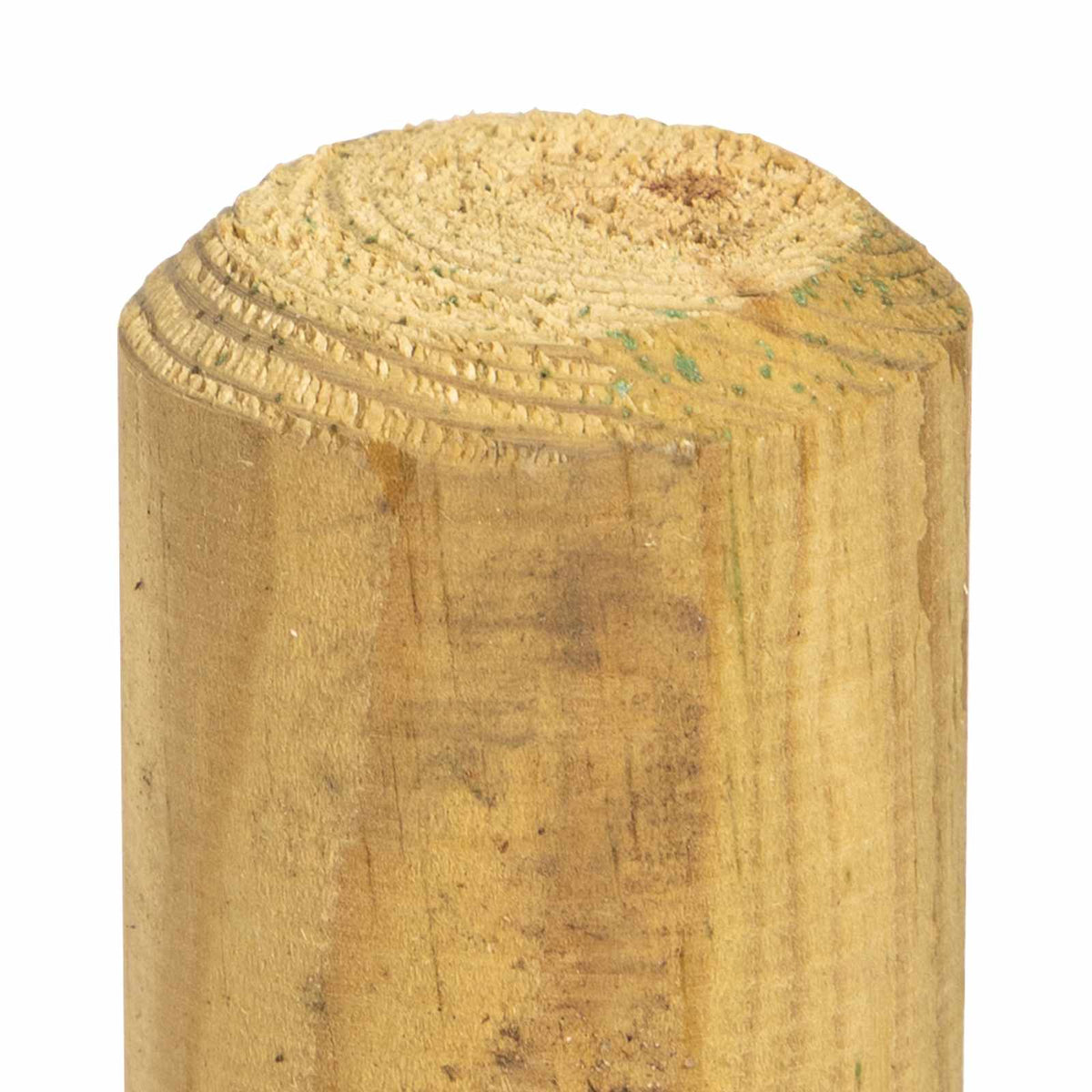 Ograde 5 kom. Zelena 100 cm Masivna borovina