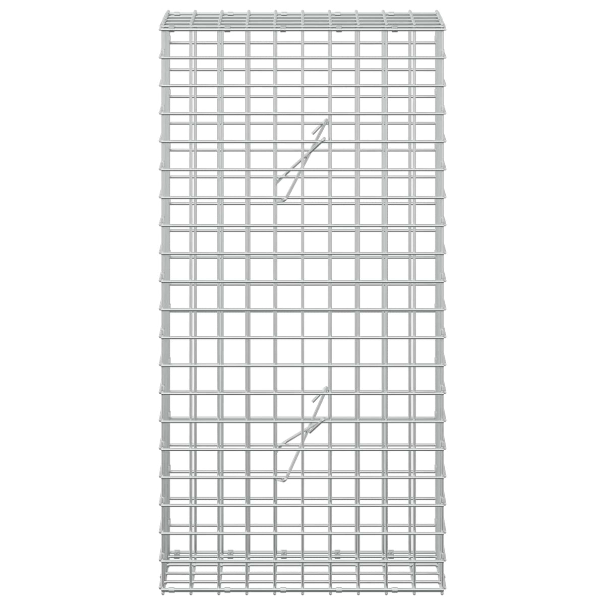 Gabion s žicom debljine 3,5 mm i mrežom 5x5 cm 50x20x100 cm