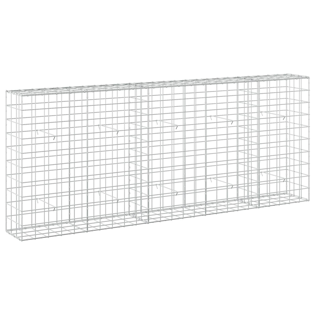 Gabion s žicom debljine 3,5 mm i mrežom 10x10 cm 250x30x100 cm