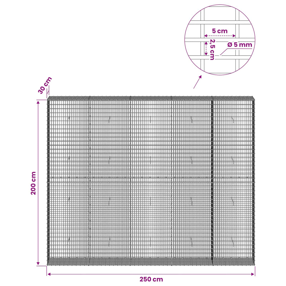 Gabion s žicom debljine 5 mm i mrežom 5x2,5 cm 250x30x200 cm