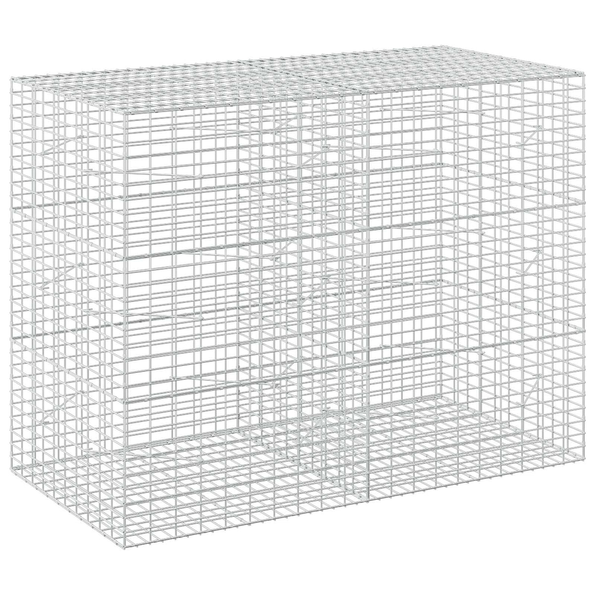 Gabion s žicom debljine 5 mm i mrežom 5x10 cm 200x100x150 cm
