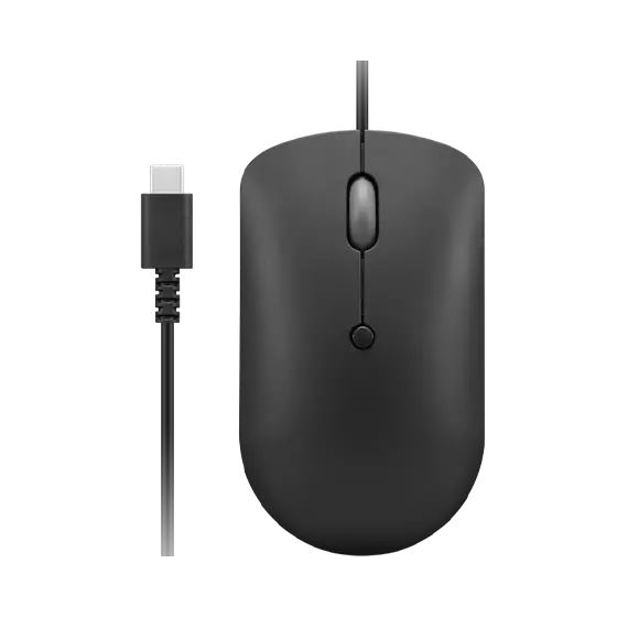 Lenovo GY51D20875 miš Ambidekster USB Tip-C Optički 2400 DPI