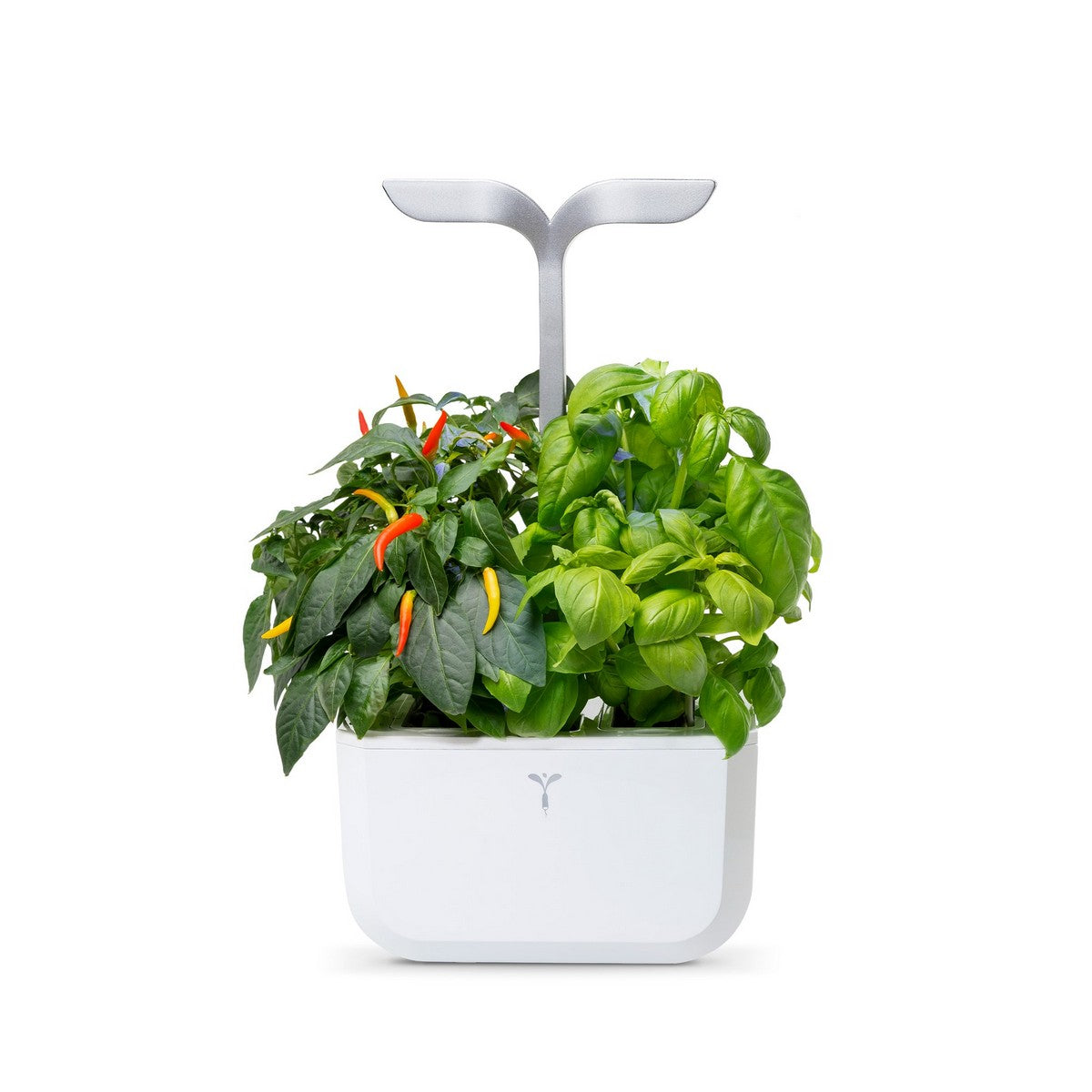 Exky® SMART Arctic White Kučni Vrt