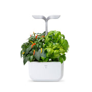 Exky® SMART Arctic White Kučni Vrt