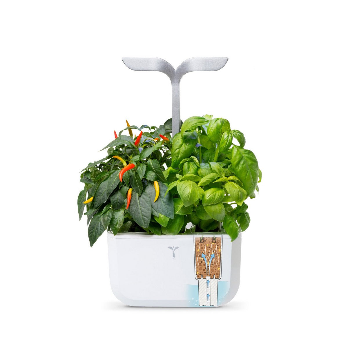 Exky® SMART Arctic White Kučni Vrt