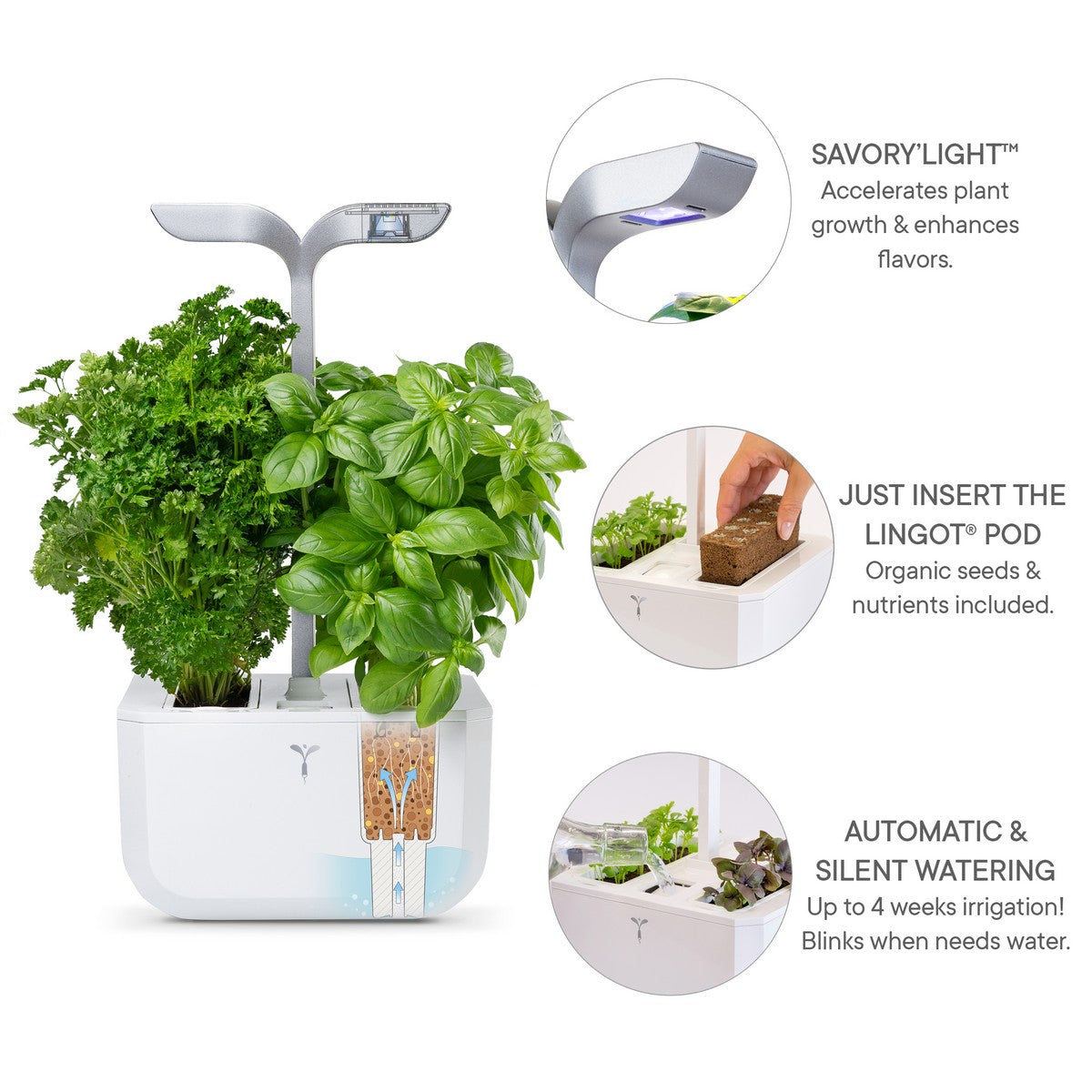 Exky® SMART Arctic White Kučni Vrt