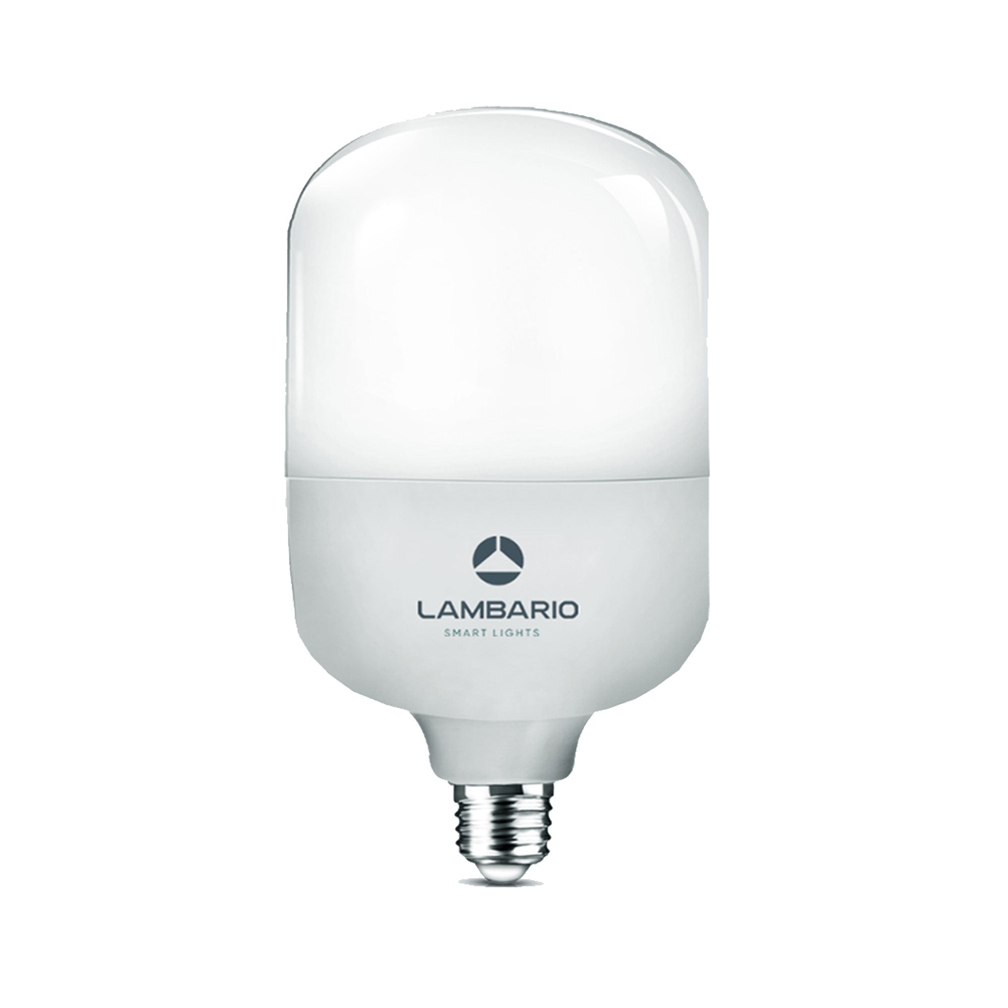 LED E-27 40W T120 6400K Lambario