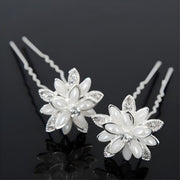 Ukosnica Star Flower KP1575